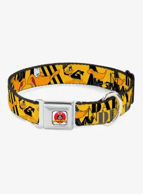 Looney Tunes Daffy Duck Poses Seatbelt Buckle Dog Collar