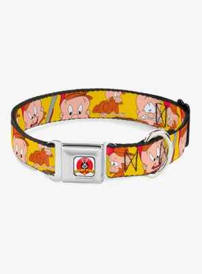 Looney Tunes Elmer Fudd Expressions Seatbelt Buckle Dog Collar