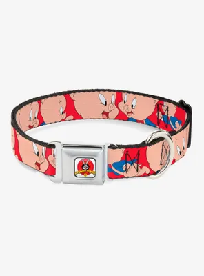 Looney Tunes Porky Pig Expressions Seatbelt Buckle Dog Collar