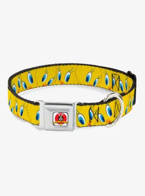 Looney Tunes Tweety Bird Yellow Seatbelt Buckle Dog Collar