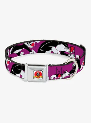 Looney Tunes Sylvester The Cat Seatbelt Buckle Dog Collar