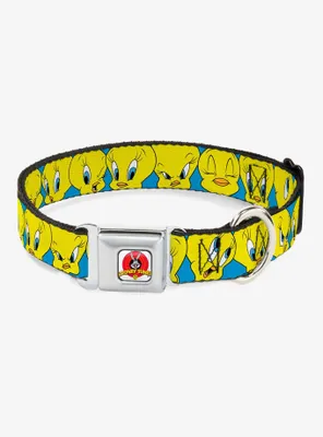 Looney Tunes Tweety Bird Close Up Baby Blue Seatbelt Buckle Dog Collar