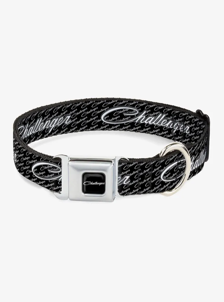 Challenger Repeat Text Seatbelt Buckle Dog Collar