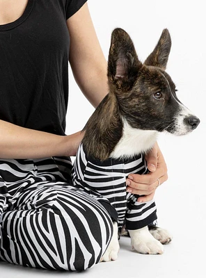 Matching Zebra Human & Dog Pajama