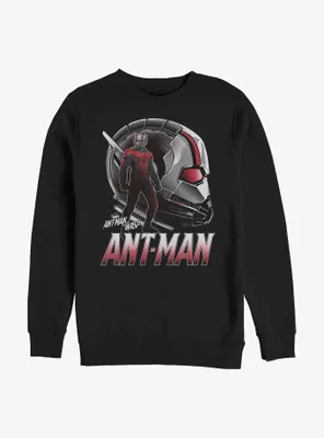 Marvel Ant-Man and the Wasp Helmet Sweatshirt
