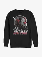 Marvel Ant-Man and the Wasp Helmet Sweatshirt