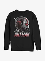 Marvel Ant-Man Helmet Sweatshirt