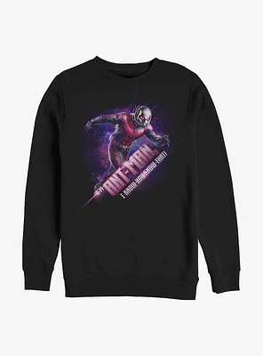 Marvel Ant-Man I Know You That Sweatshirt