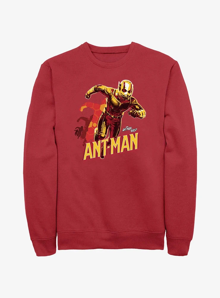 Marvel Ant-Man and the Wasp: Quantumania Transform Sweatshirt