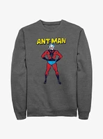 Marvel Ant-Man Big Ant Sweatshirt
