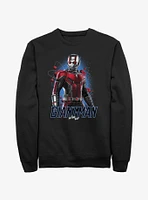 Marvel Ant-Man and the Wasp: Quantumania Giant-Man Atom Sweatshirt