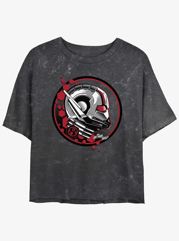 Marvel Ant-Man and the Wasp: Quantumania Ant Stamp Mineral Wash Girls Crop T-Shirt