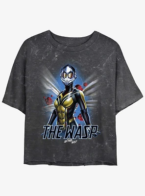 Marvel Ant-Man and The Wasp: Quantumania Wasp Atom Mineral Wash Girls Crop T-Shirt