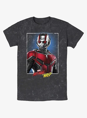 Marvel Ant-Man and the Wasp: Quantumania Antman Portrait T-Shirt