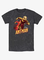 Marvel Ant-Man and the Wasp: Quantumania Transform T-Shirt