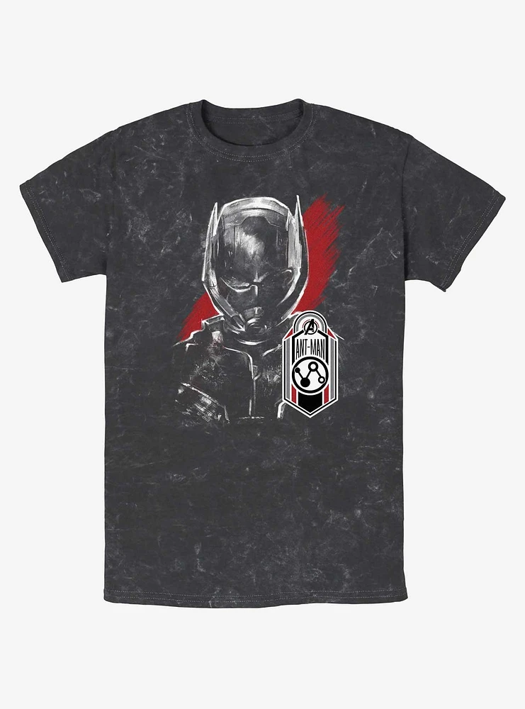Marvel Ant-Man and the Wasp: Quantumania Antman Tag Mineral Wash T-Shirt