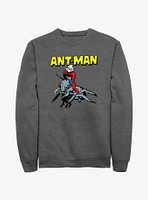 Marvel Ant-Man Riding Ants Sweatshirt