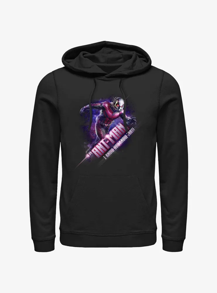 Marvel Ant-Man I'm Hoodie