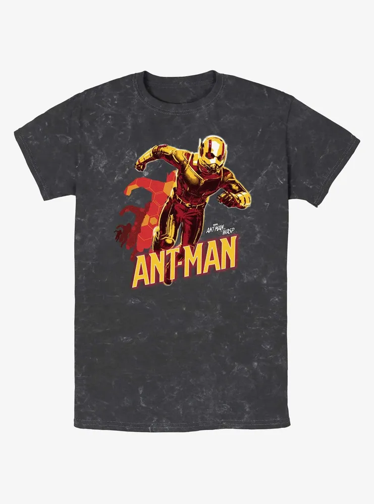 Marvel Ant-Man and the Wasp: Quantumania Transform Mineral Wash T-Shirt