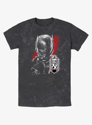 Marvel Ant-Man and the Wasp: Quantumania Tag Mineral Wash T-Shirt