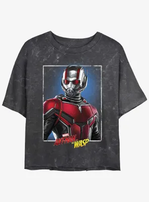 Marvel Ant-Man and the Wasp: Quantumania Portrait Mineral Wash Womens Crop T-Shirt