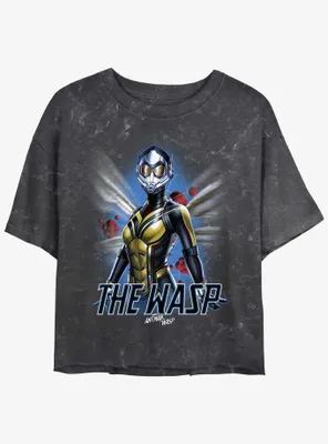 Marvel Ant-Man and The Wasp: Quantumania Wasp Atom Mineral Wash Womens Crop T-Shirt