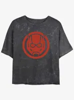 Marvel Ant-Man and the Wasp: Quantumania Icon Mineral Wash Womens Crop T-Shirt