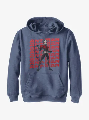 Marvel Ant-Man and the Wasp: Quantumania Action Pose Youth Hoodie