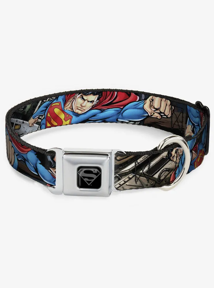 DC Comics Justice League Superman Metropolis Face Off Seatbelt Buckle Dog Collar