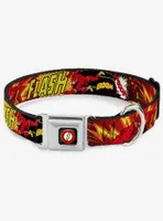 DC Comics Justice League The Flash Boom Kaboom Seatbelt Buckle Dog Collar