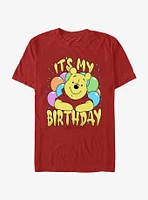 Disney Winnie The Pooh It's My Birthday Extra Soft T-Shirt