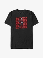 Marvel Ant-Man and the Wasp: Quantumania Text Wall Big & Tall T-Shirt