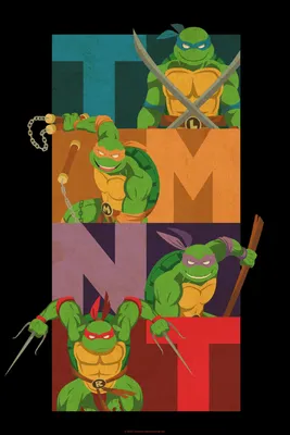 Teenage Mutant Ninja Turtles Colorblock Team Pose Poster