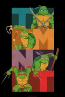 Teenage Mutant Ninja Turtles Colorblock Team Pose Poster