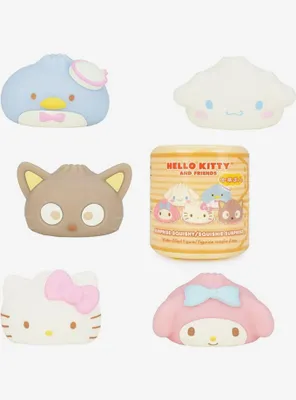 Hello Kitty And Friends Character Blind Capsule Squishy