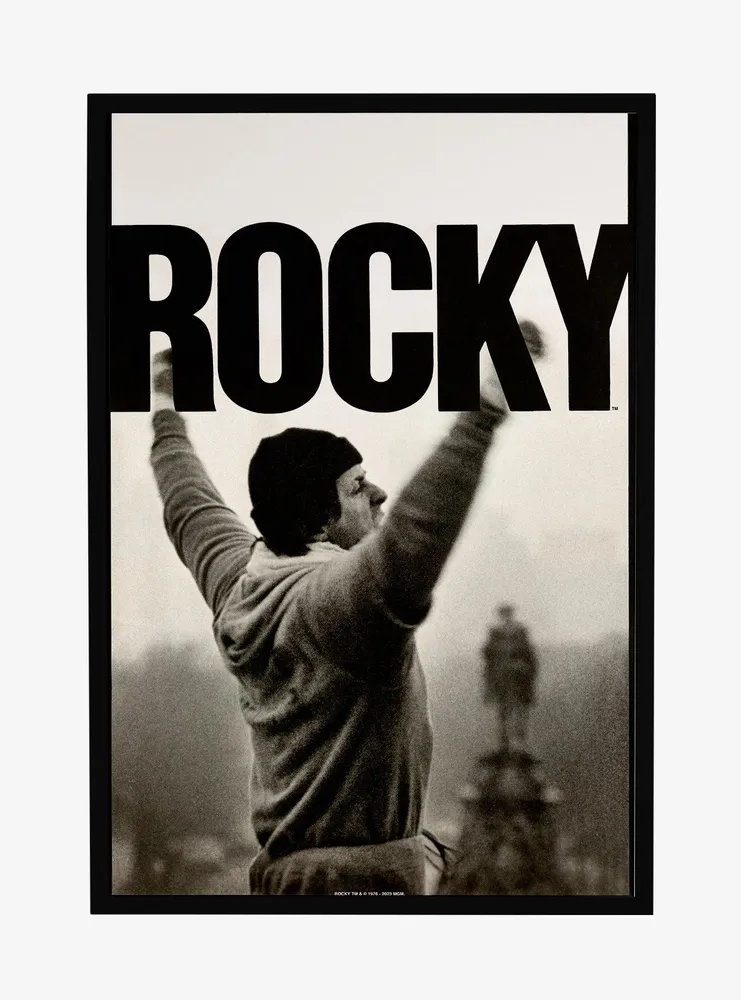 Rocky Balboa Punching Sky Movie Poster Men's T shirt Boxing Philly Steps  Pose | eBay
