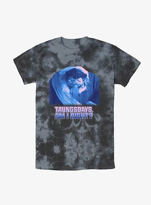 Star Wars The Mandalorian Taungsdays Am I Right Tie-Dye T-Shirt