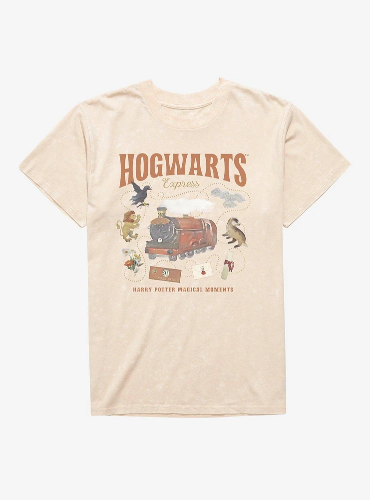 Harry Potter Hogwarts Express Magical Moments T-Shirt