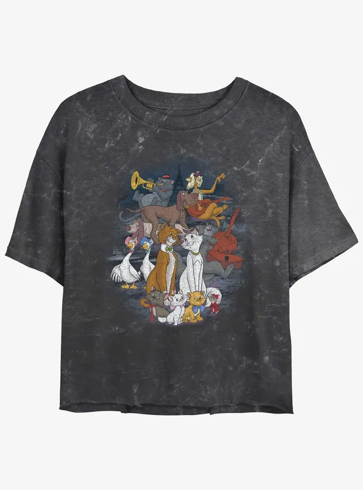 Disney The AristoCats All Cats Mineral Wash Womens Crop T-Shirt