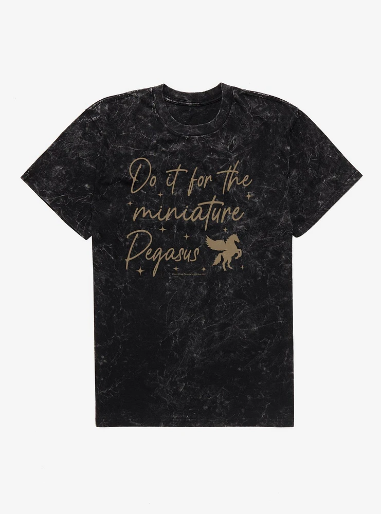 A Court Of Silver Flames Do It For The Miniature Pegasus Mineral Wash T-Shirt
