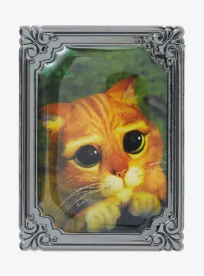 Shrek Puss in Boots Frame Enamel Pin - BoxLunch Exclusive