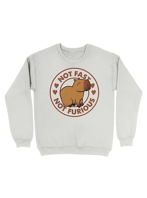 Not Fast Furious Capybara Sweatshirt