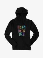 Pride It's Ok To Be Gay Hoodie
