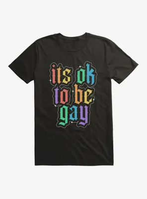 Pride It's Ok To Be Gay T-Shirt