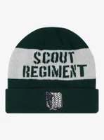 Attack On Titan Scout Regiment Stripe Beanie