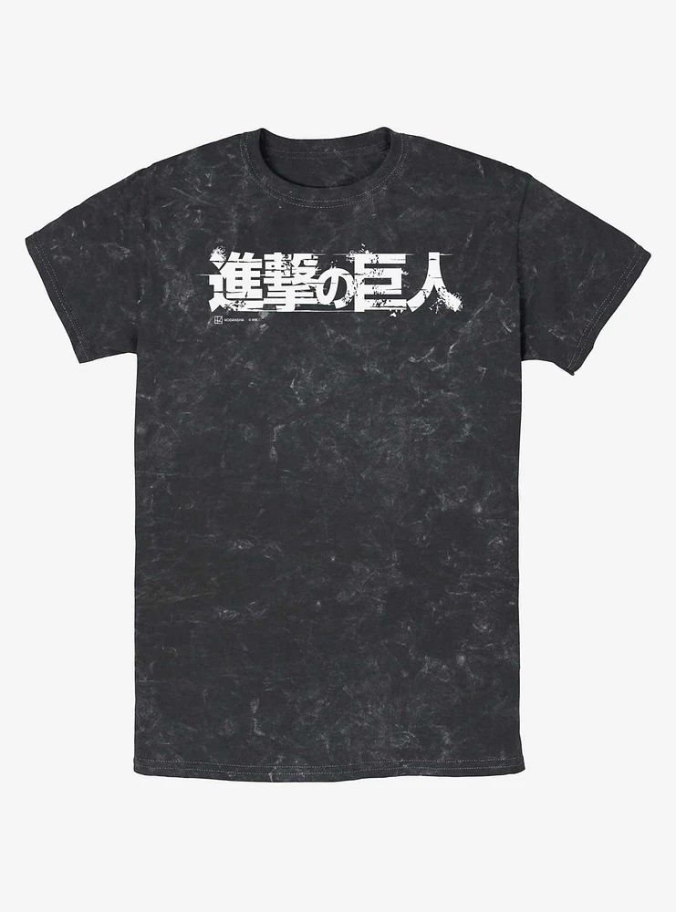Attack On Titan Japanese Logo Mineral Wash T-Shirt