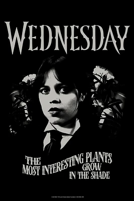 Wednesday The Most Interesting Plants Grow Shade Poster