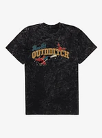 Harry Potter Team Spirit Game On Quidditch Mineral Wash T-Shirt