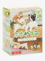 Yell Playful Dogs Blind Box Figure