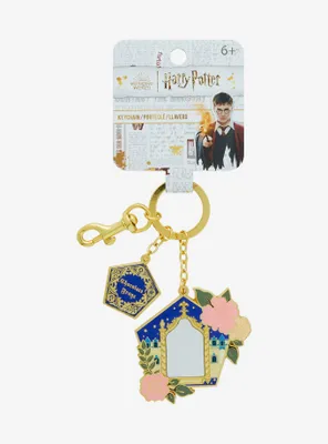 Harry Potter Chocolate Frog Multi-Charm Keychain — BoxLunch Exclusive